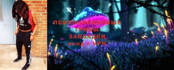 тгк Заводоуковск